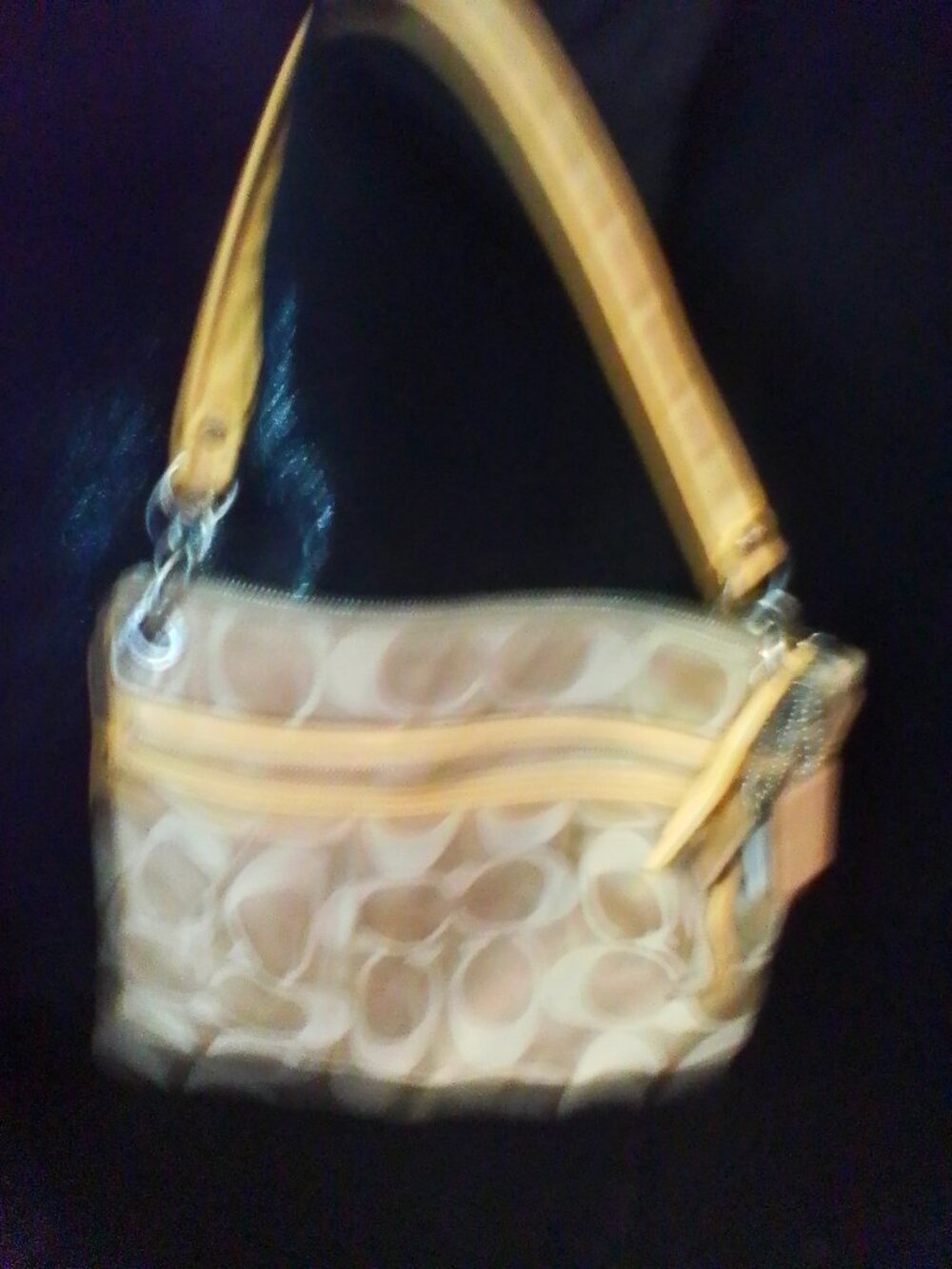 coach bag